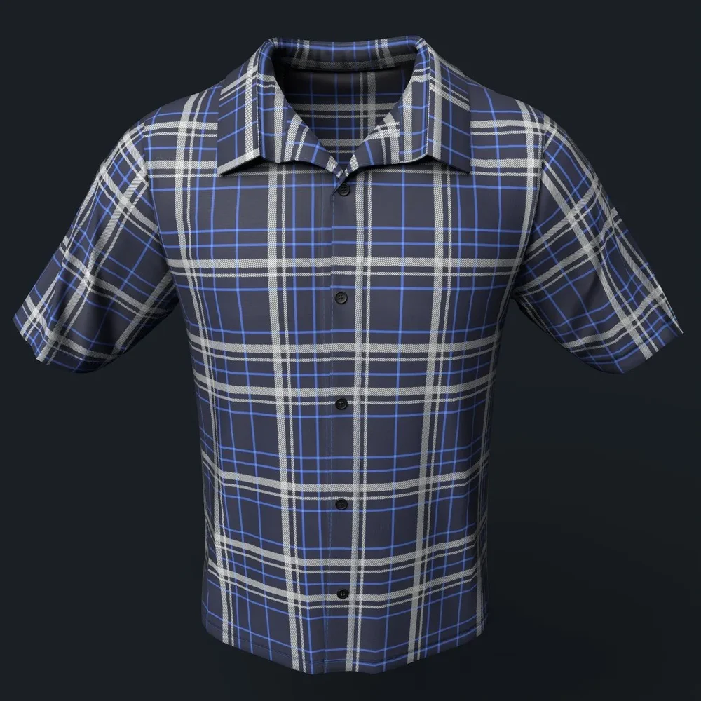 Blue And White Plaid Button-Up Shirt