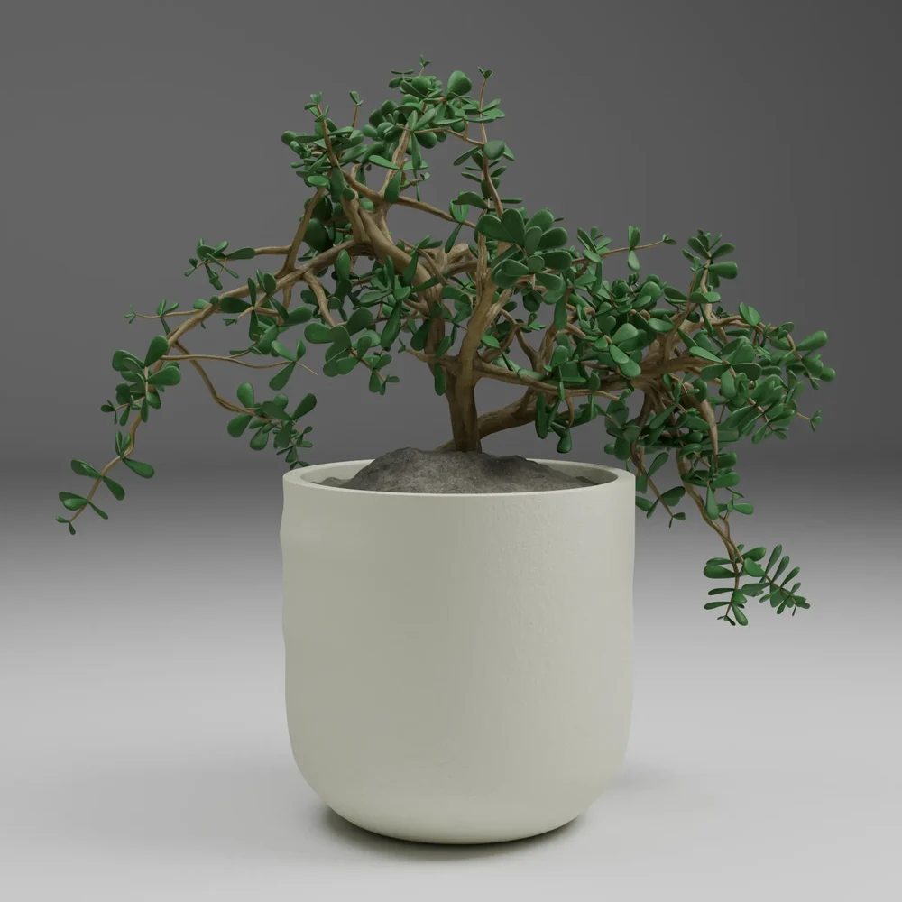Jade Bonsai Pot