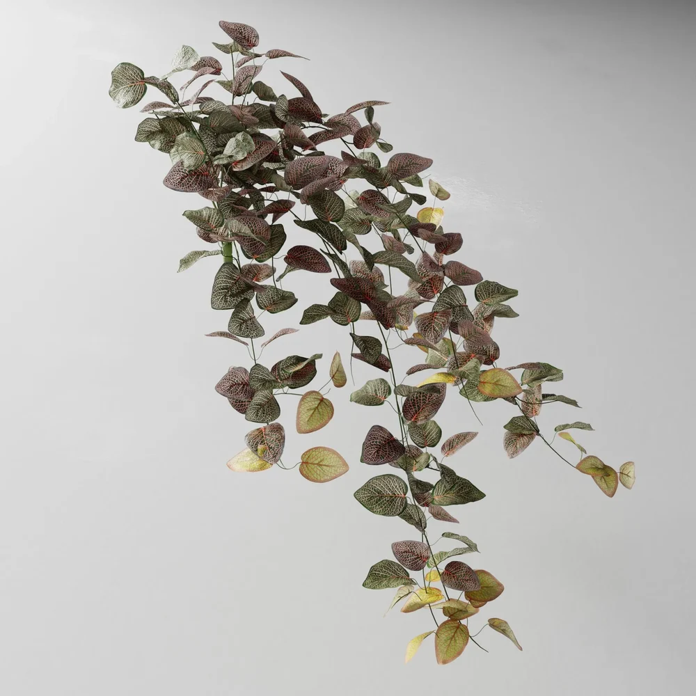 Artificial Tendril Fitonia Red V2