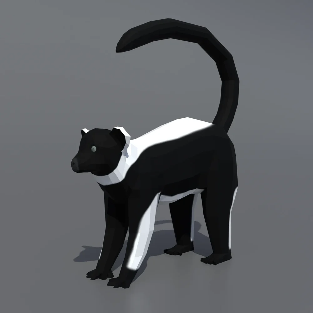 Indri Lemur
