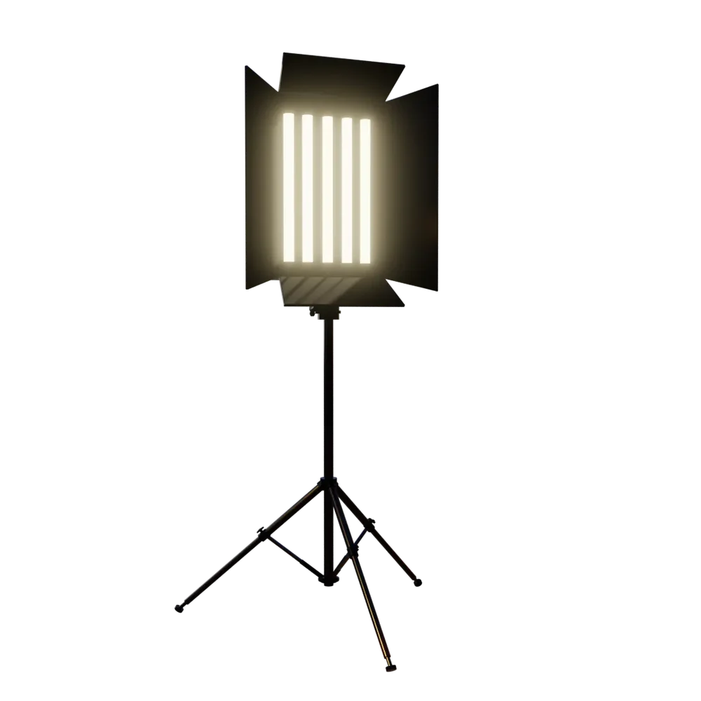 Large Light Bulb
