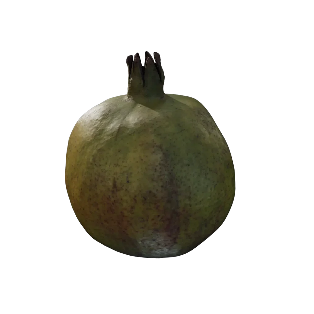 Punica Granatum