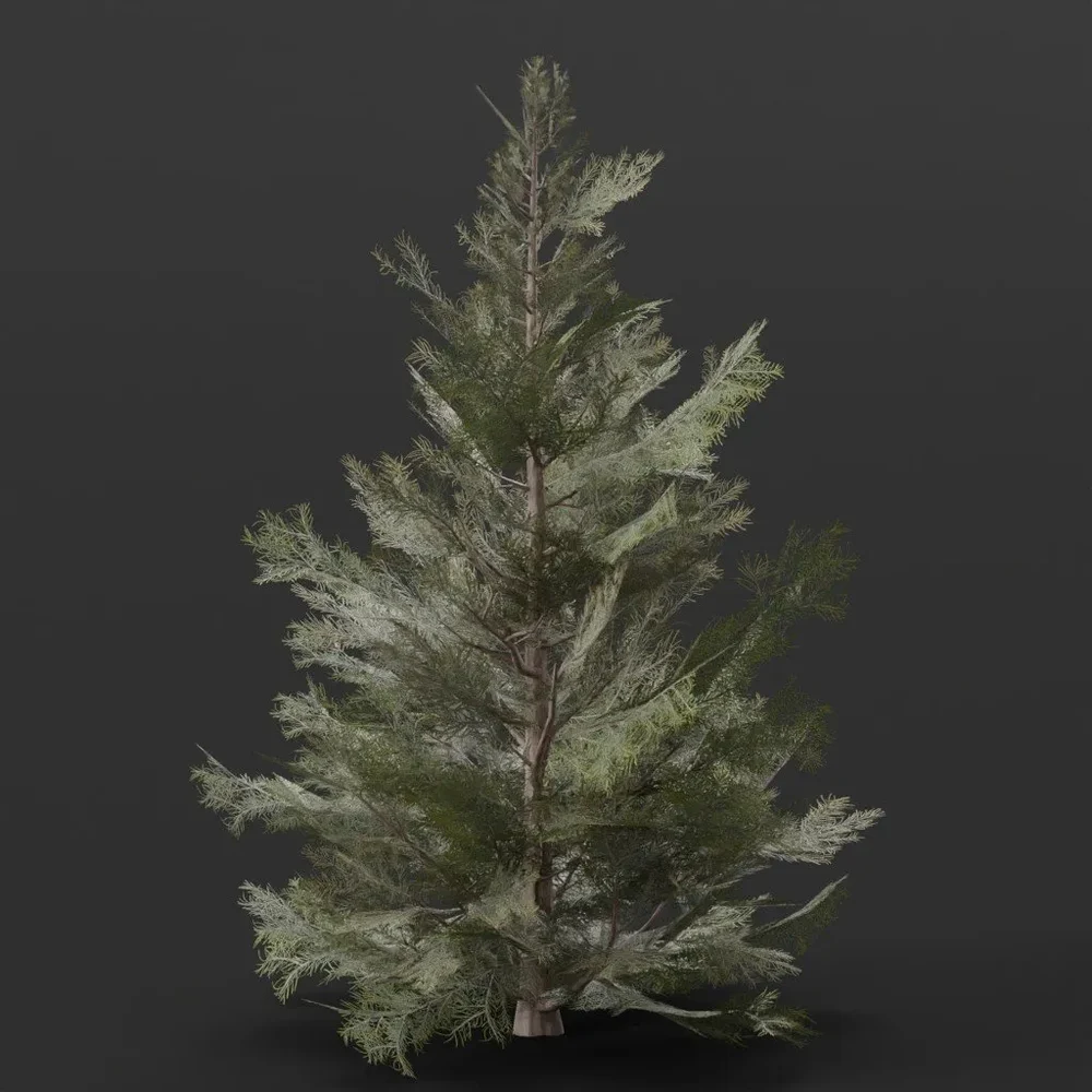 Pine Bush Large