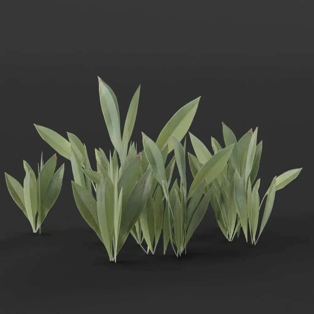 Flowers Small No Flower