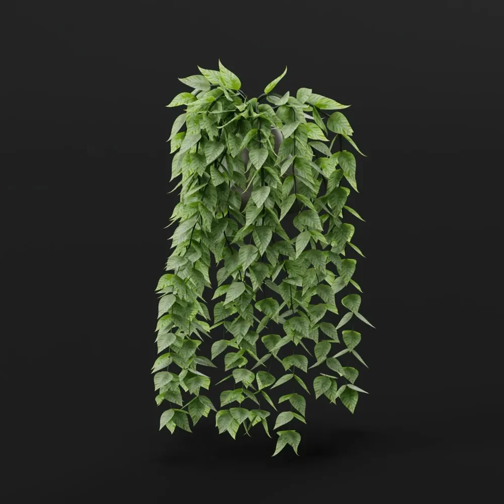 Cascading Green Ivy