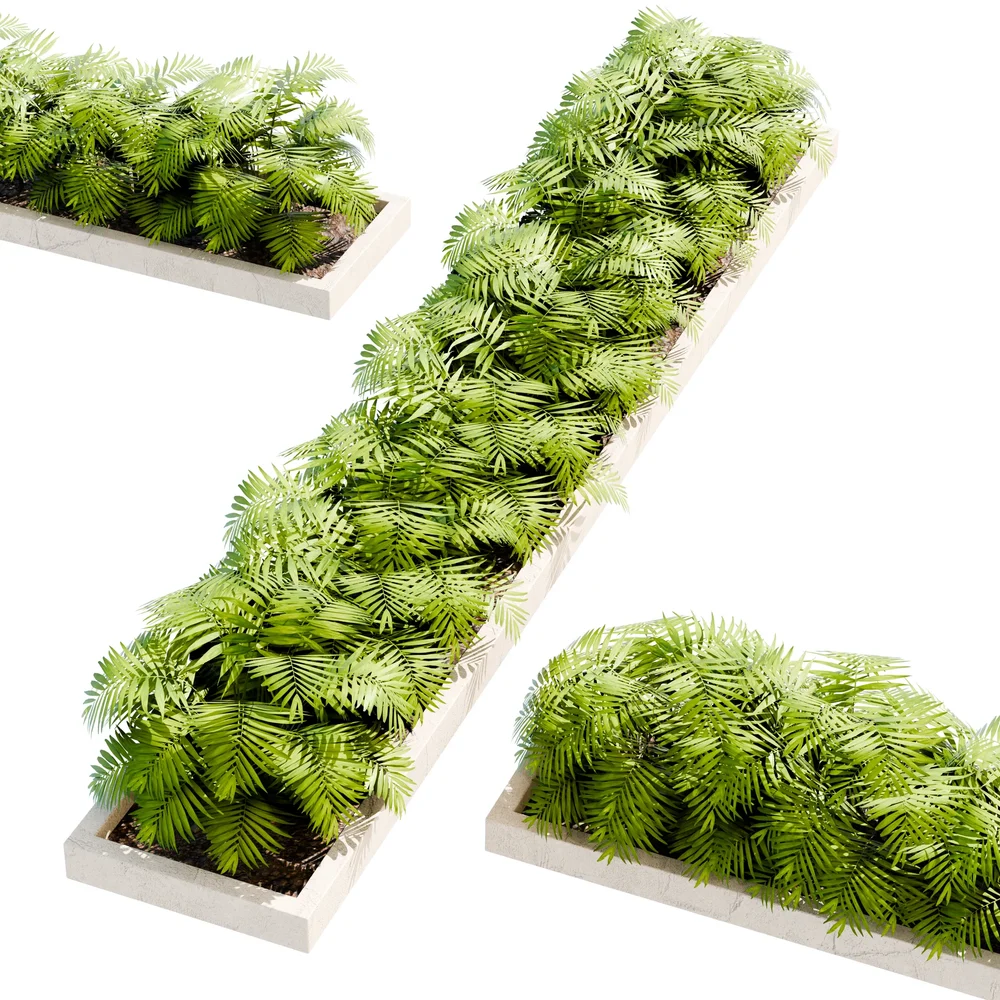 Tropical Palm Planter