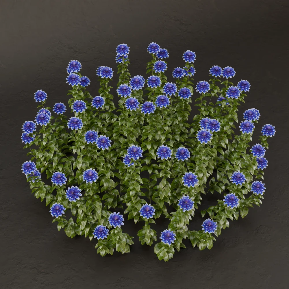 Sj-Harmony Garden Cluster