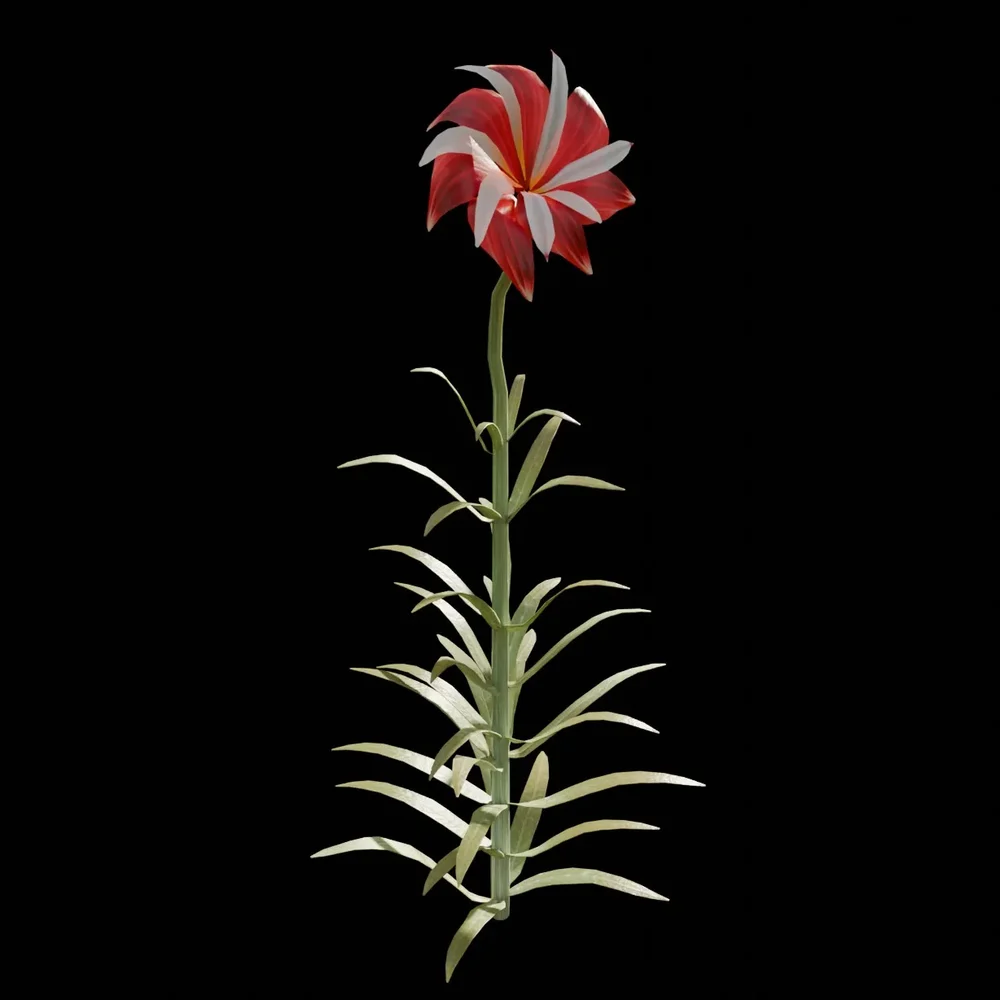 Fantasy Flower