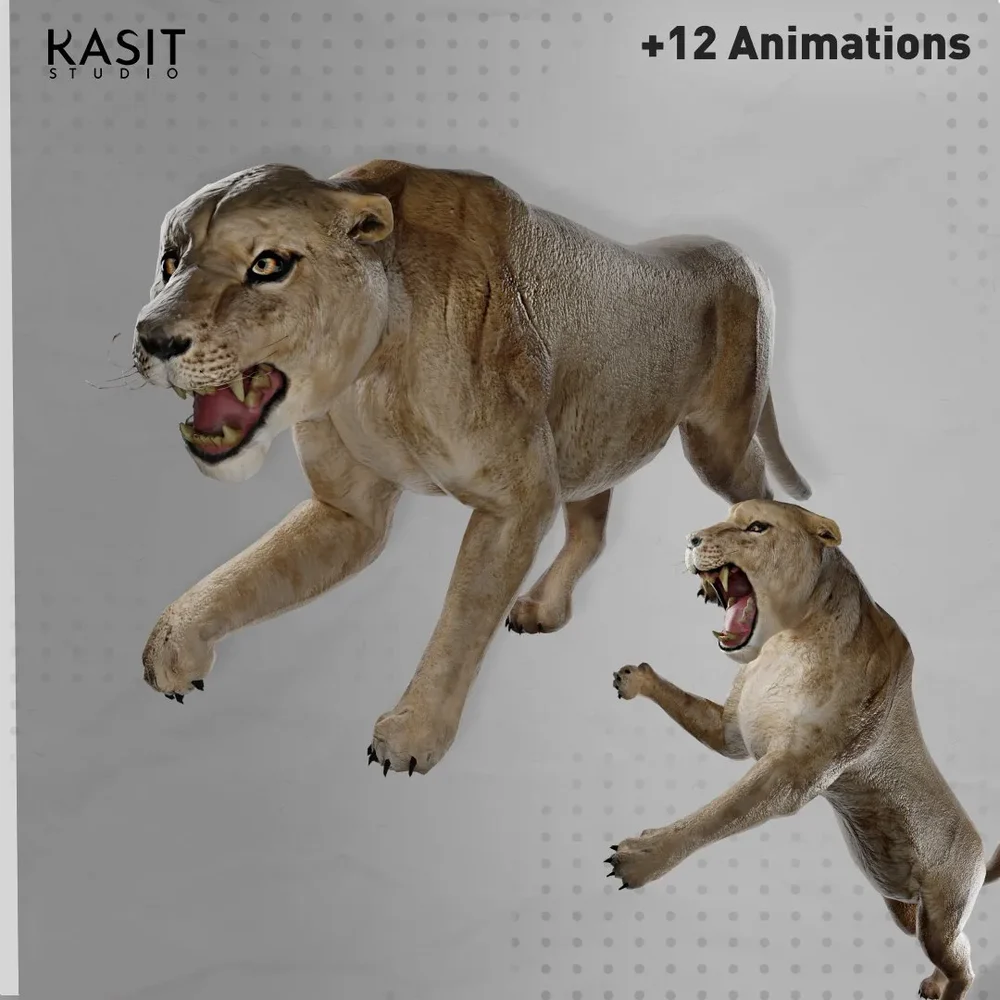 Female Lion Animated Rigged
