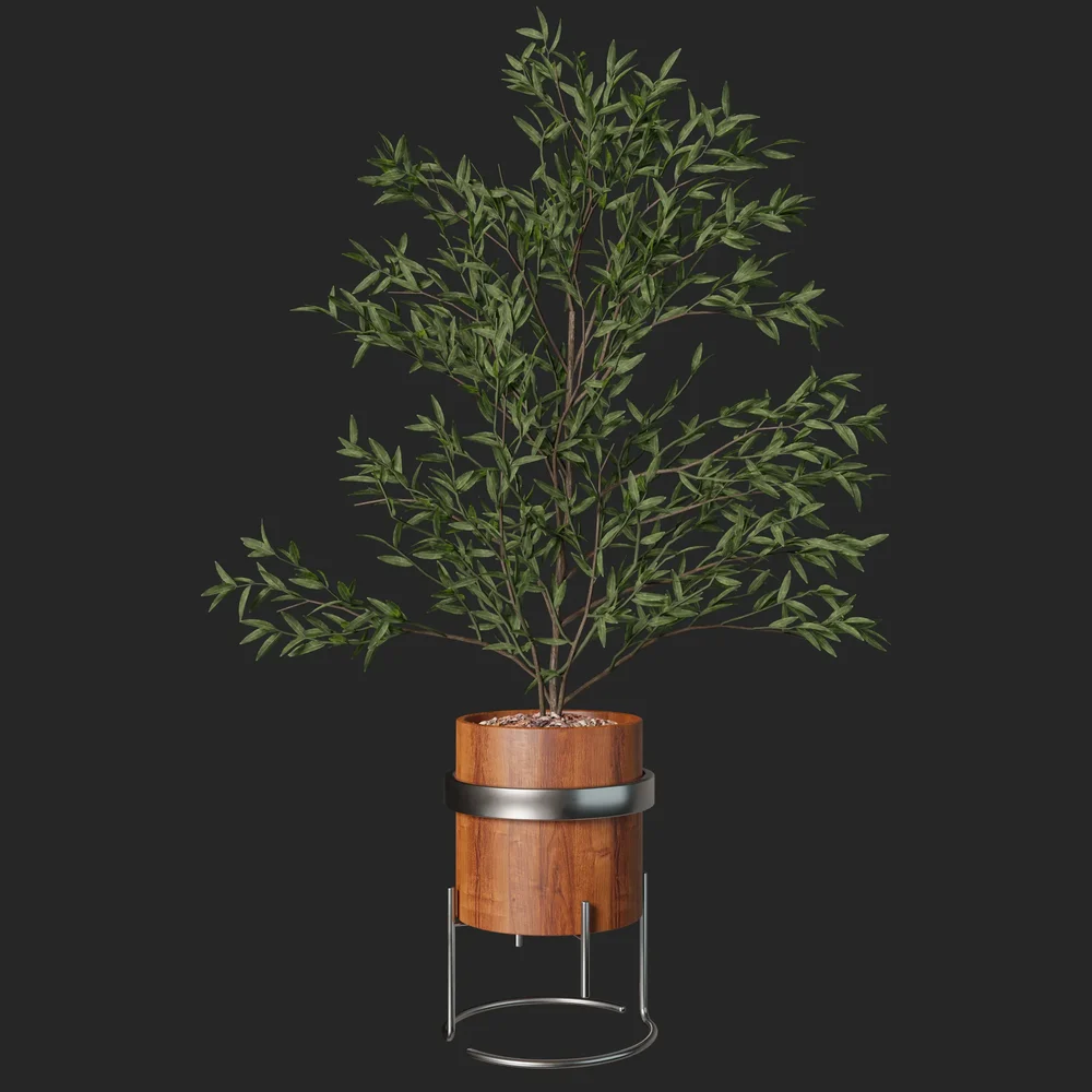 Plant