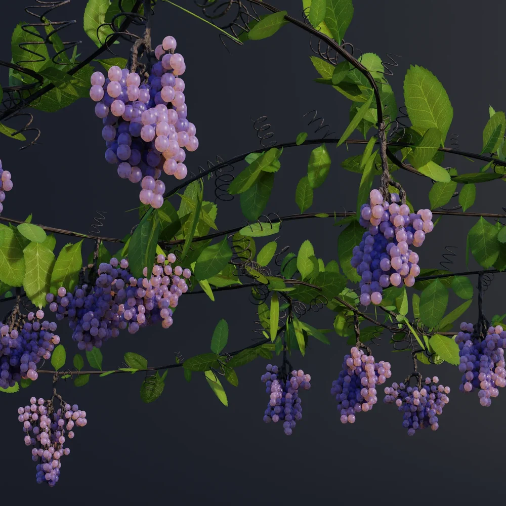 Grapevine With Hanging Grapes (Geonodes)