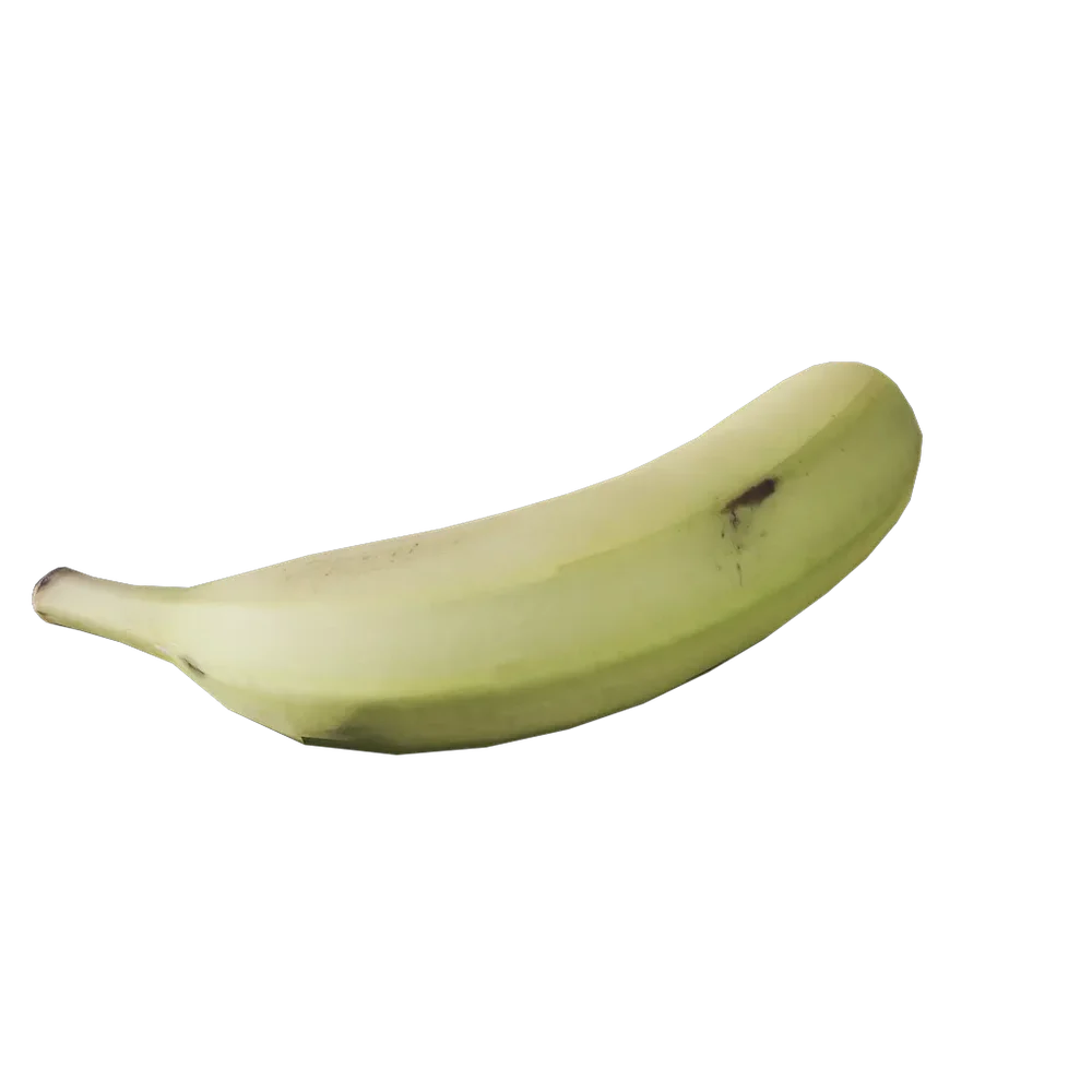 Musa Paradisiaca