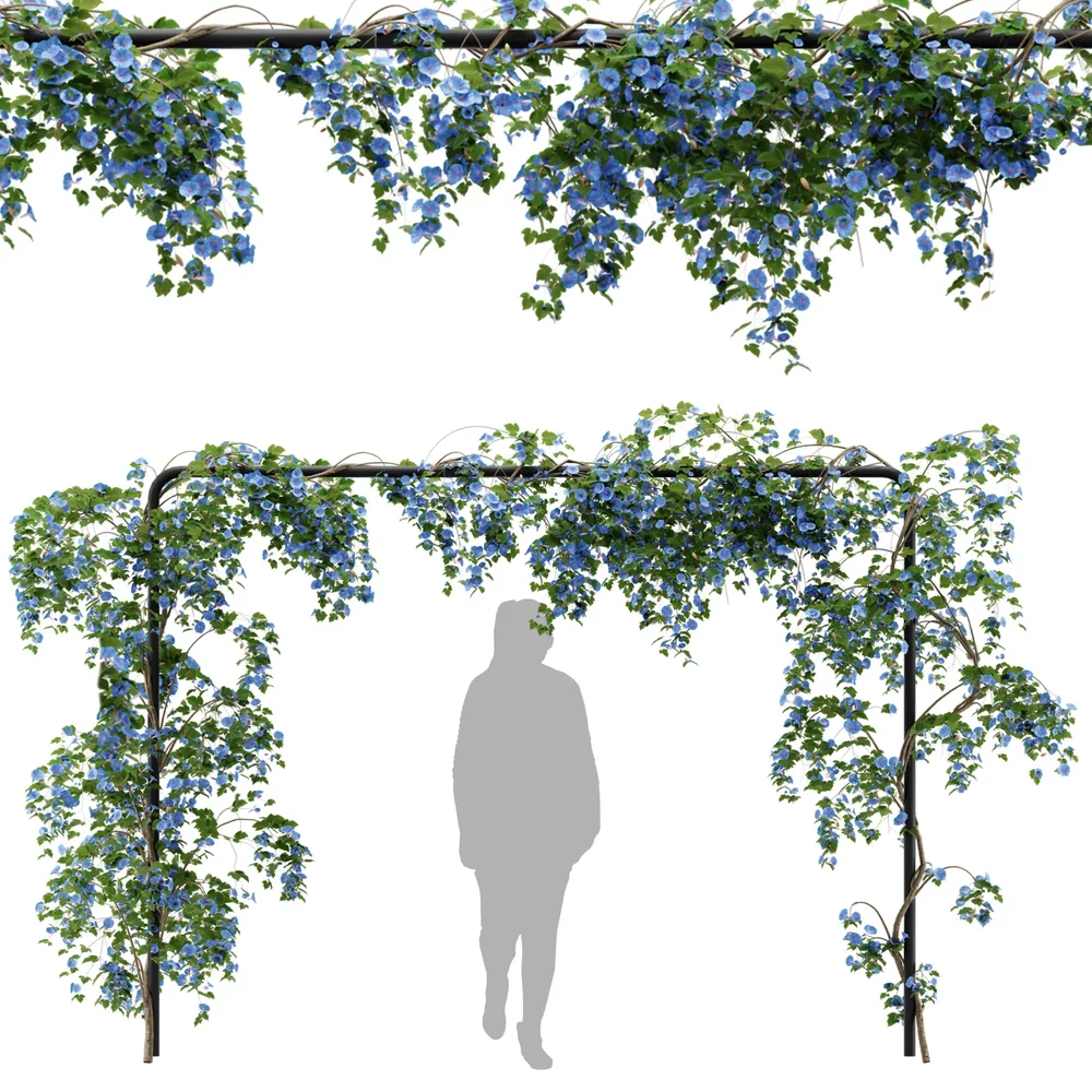 Flower Ivy Trellis Plant