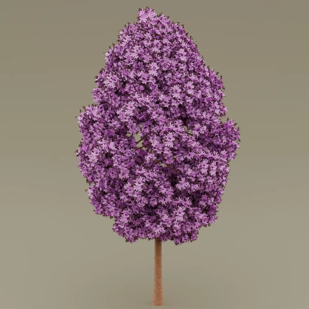 Pink Flowered-Dark Red Leaved Tree