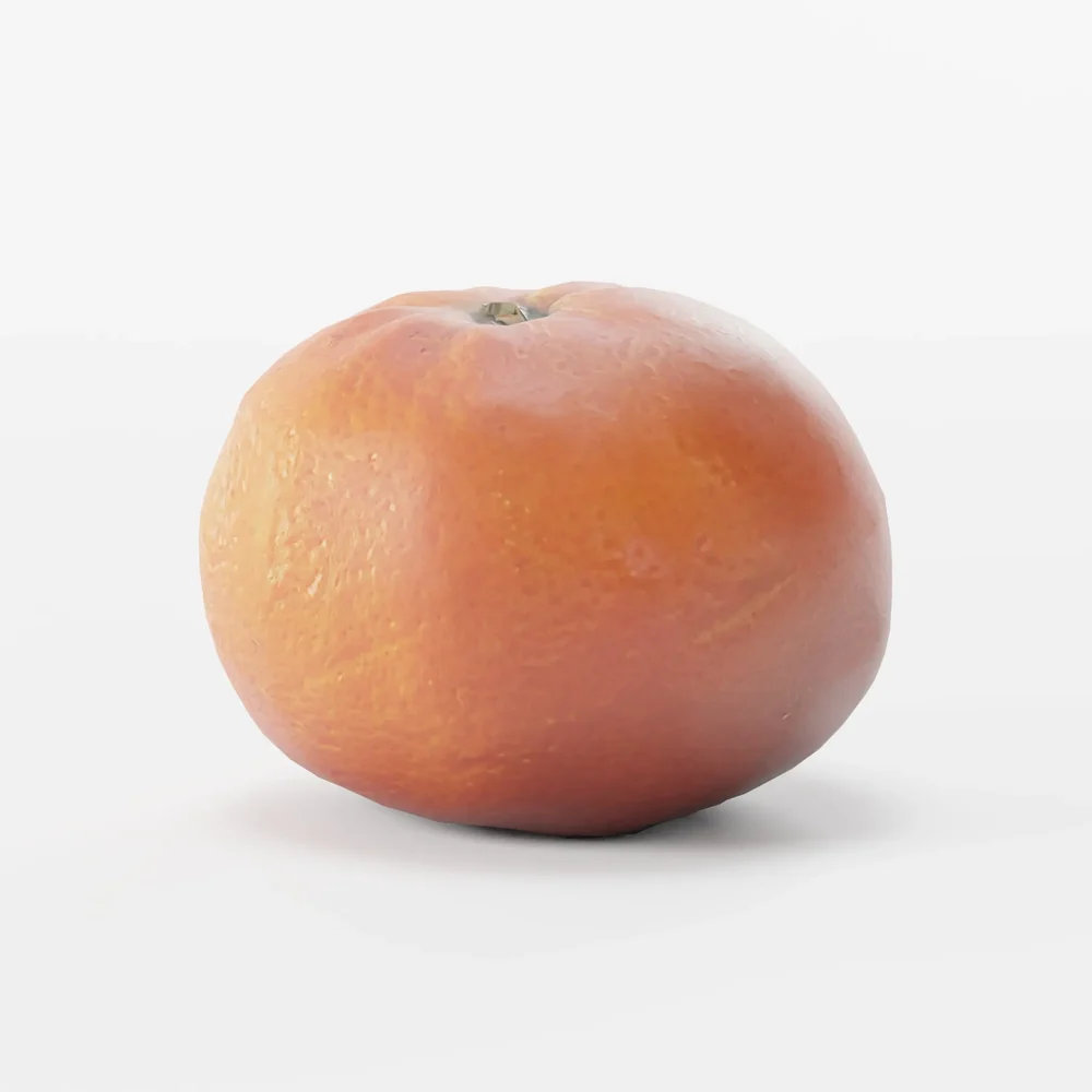 Mandarin Scanned Orange