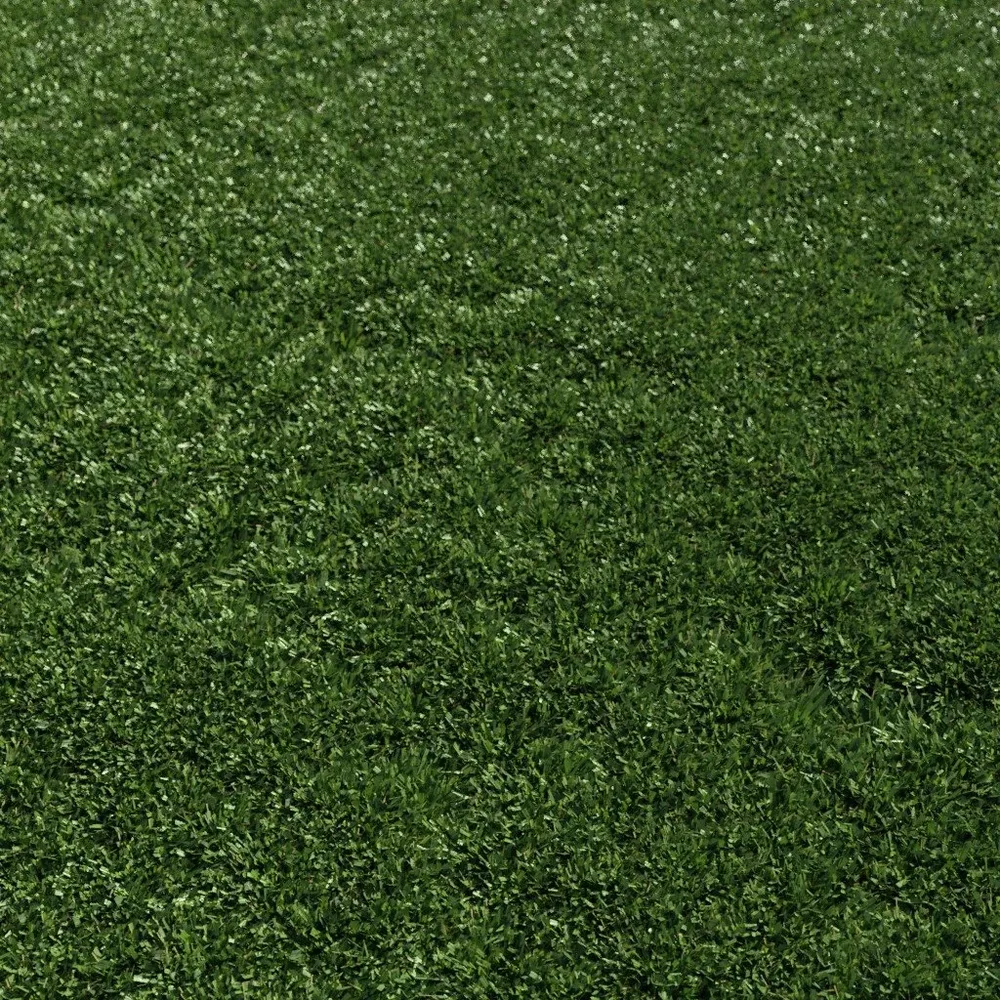 Mown Grass Large Area