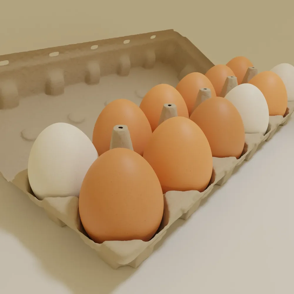 Eggs In An Egg Box/Carton