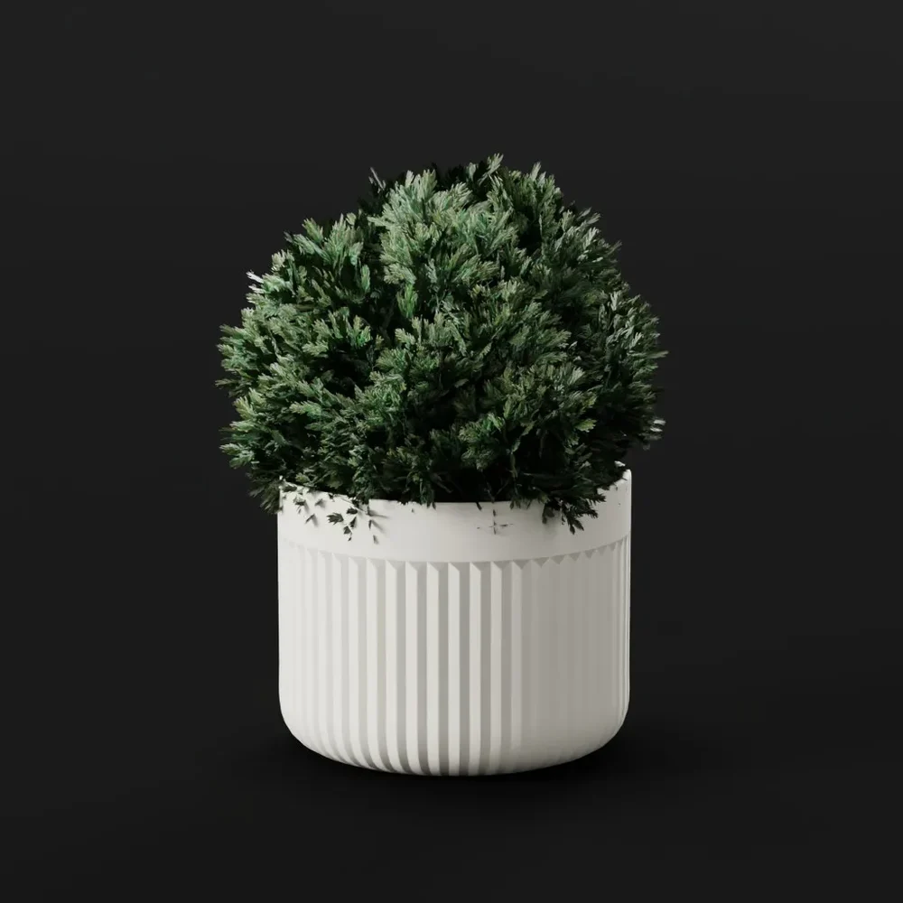 Juniper Bush Trim Pot