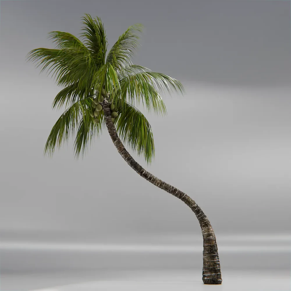 Coconut Tree Rigged And Animated