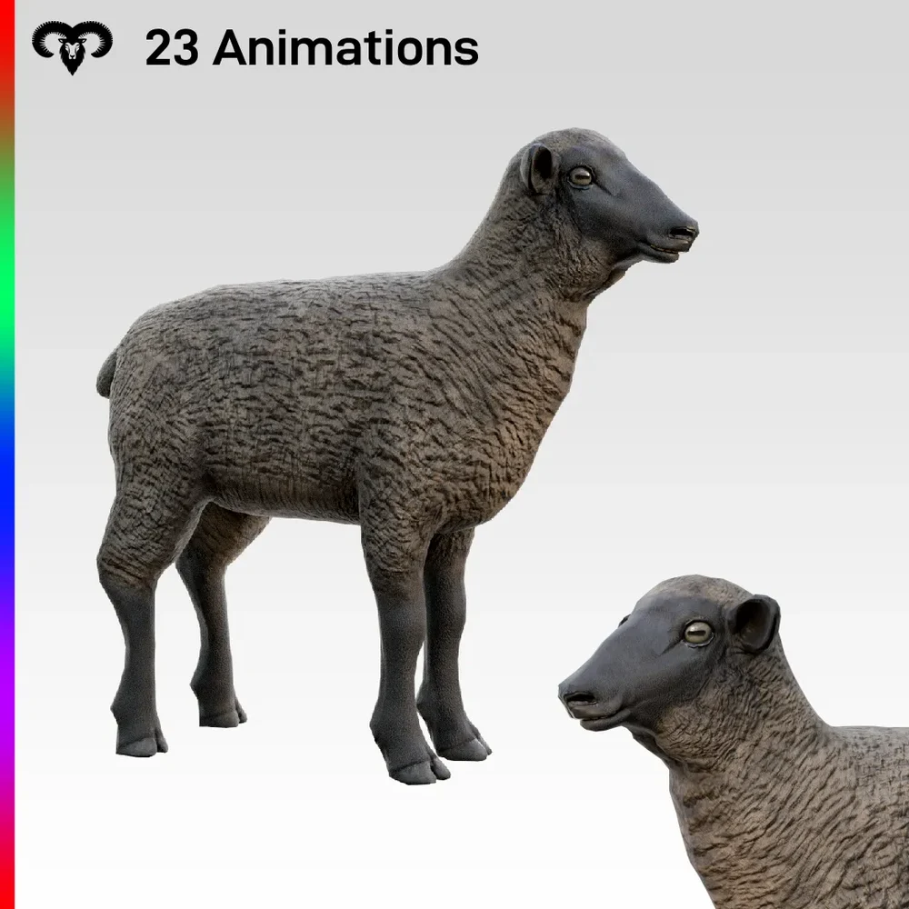 Baby Sheep Animated