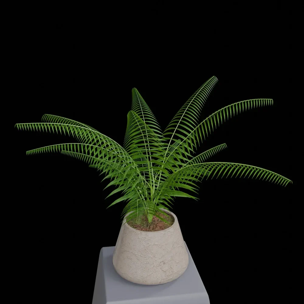 Ornamental Plant
