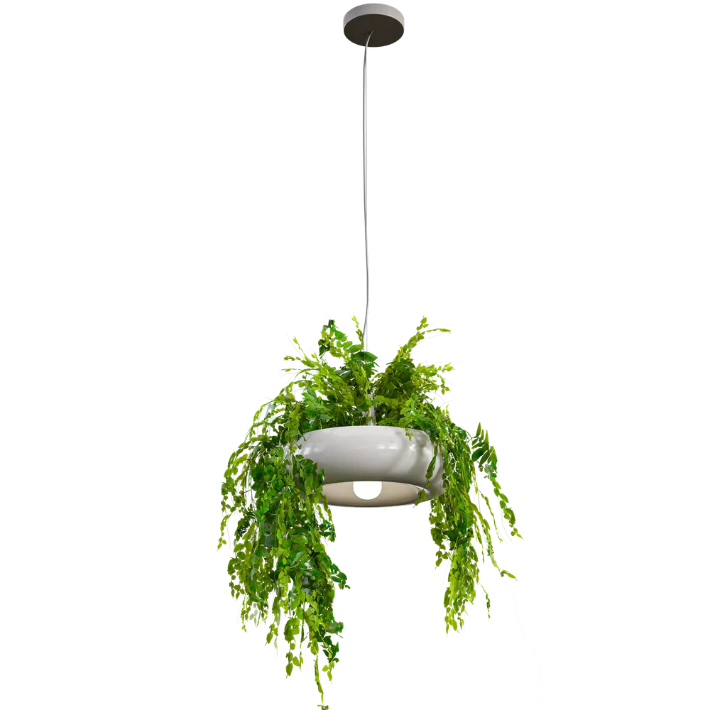 Pendant Light With Plants C