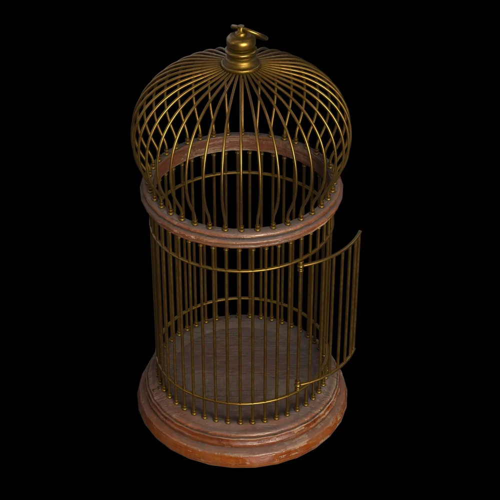 Birdcase-Freepoly.Org