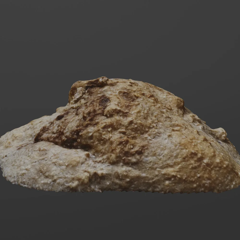 Photoscanned Baked Good 01